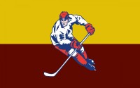 Hokejov� vlajky