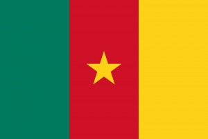 Vlajka Kamerun